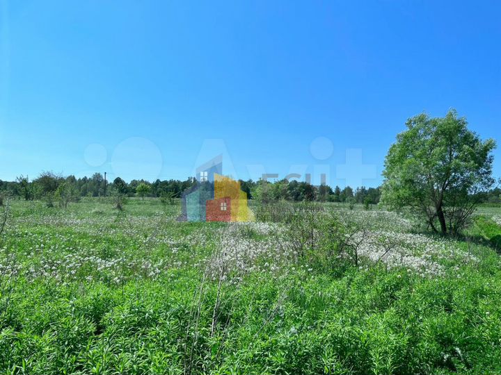 Участок 43 сот. (ИЖС)