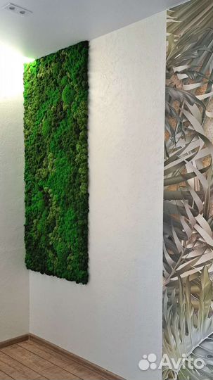 Панно из стабилизированного мха