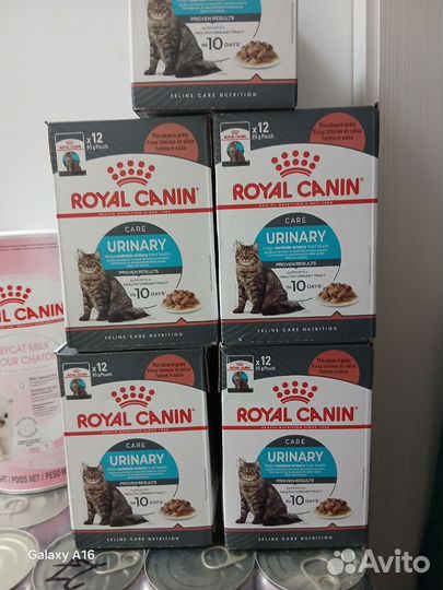 Royal canin влажный корм urinary