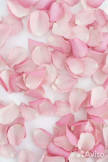 Лепестки роз