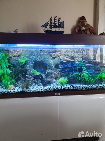 Аквариум juwel 180