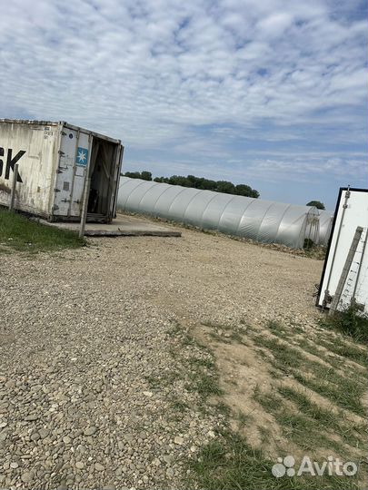 Клубничные поля