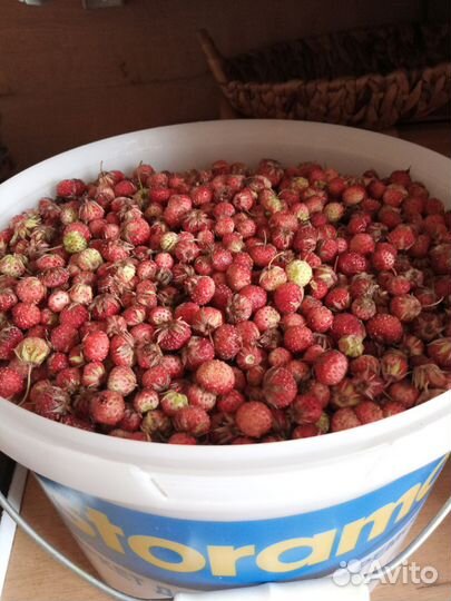 Земляника луговая, облепиха сушёная, шиповник