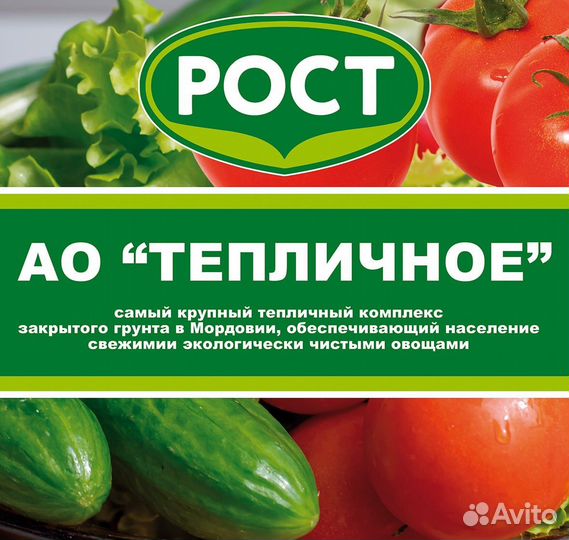 Рабочие в теплицы (овощеводы)