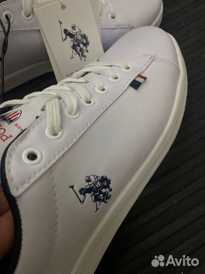 Кеды us polo мужские