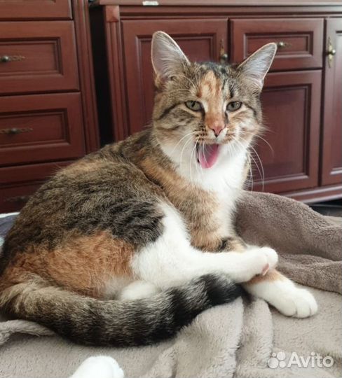 Милашка и нежнятина Мэри