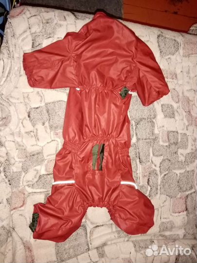 Дождевик для маленькой собаки