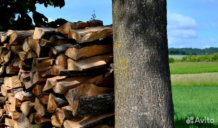 Дрова в город
