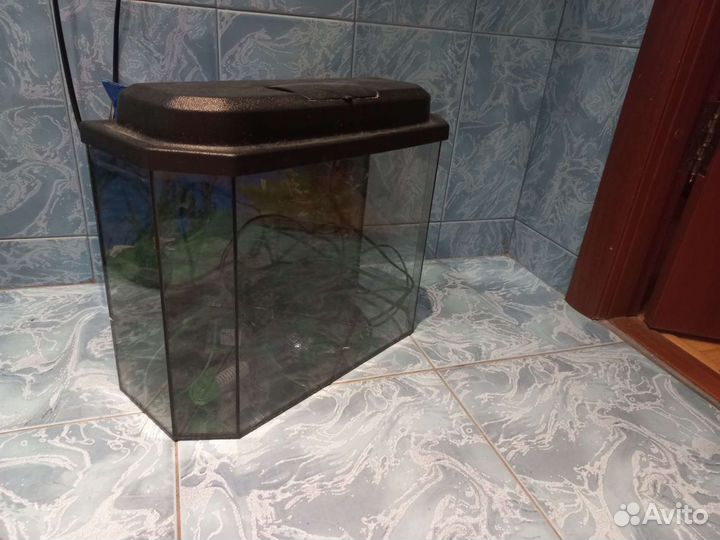 Аквариум,грунт,фильтр и обогреватель