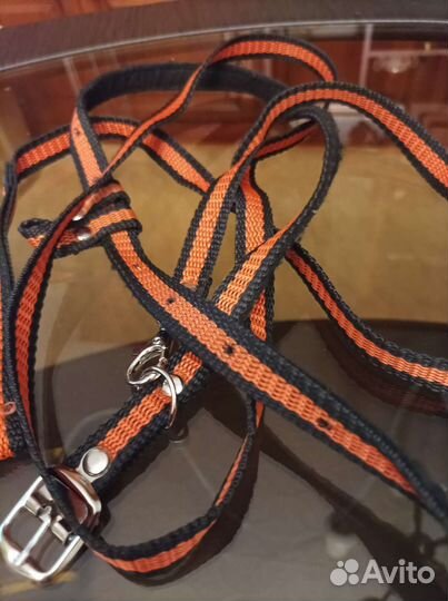 Поводок для кошек, шлейка, одежда, миски, пледы