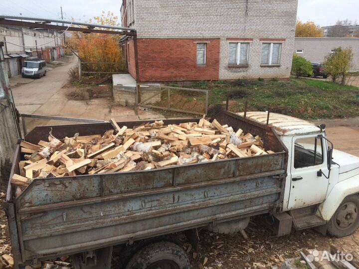 Дрова береза