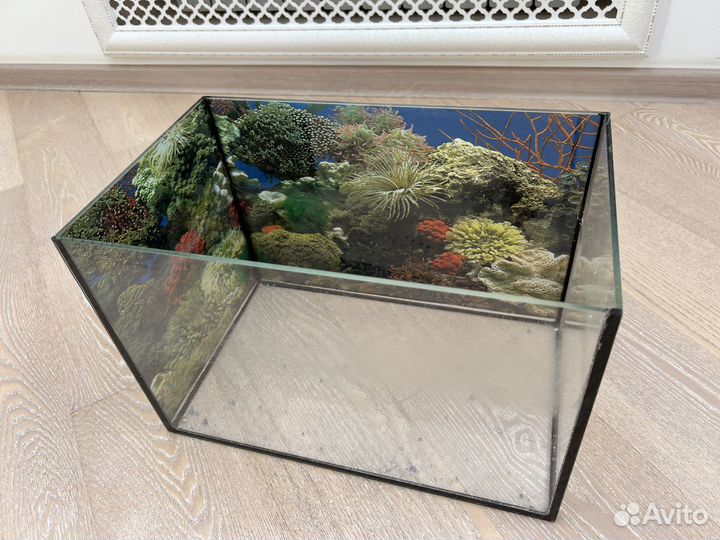 Аквариум