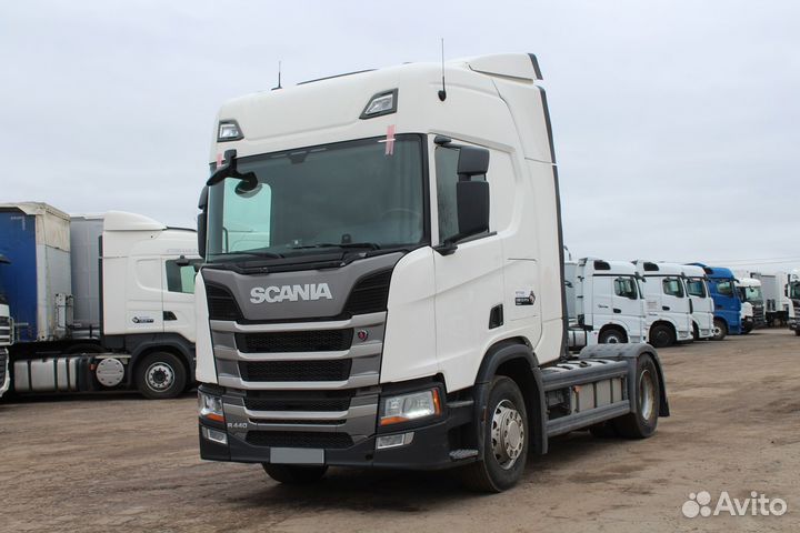 Scania R440 A4X2NA, 2019