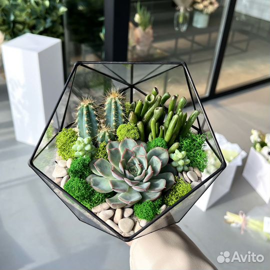 Флорариум цветы букет подарок