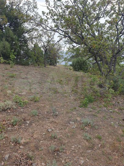 Участок 5,2 сот. (ИЖС)