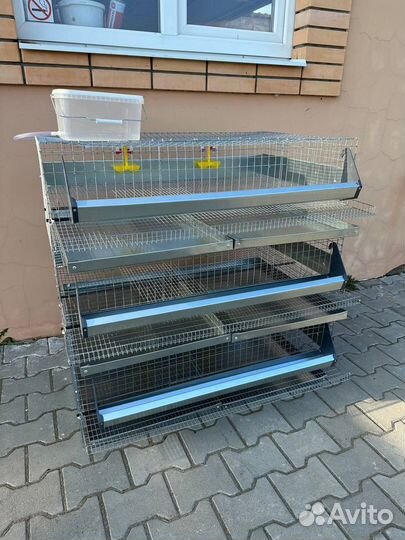 Клетка для 150 перепелов