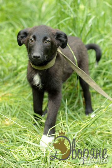 Красивая и обаятельная Ульяша