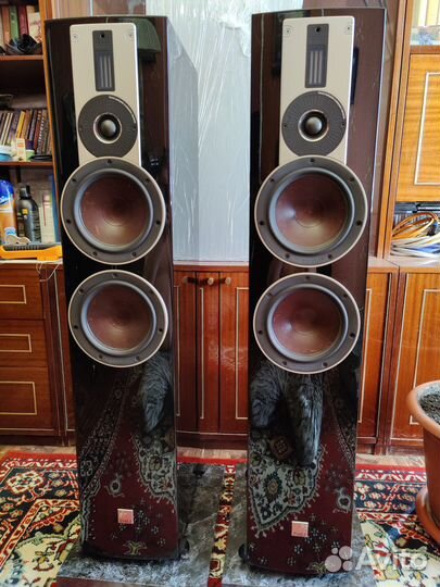 Акустика Dali rubicon 6