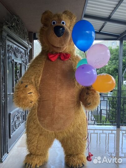Бурый мишка маша и медведь аниматор
