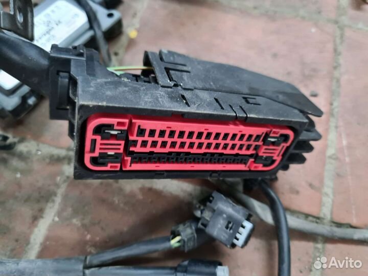 Жгут электропроводки двигателя Mercedes CLS W219