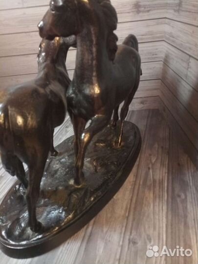 Кони на воле