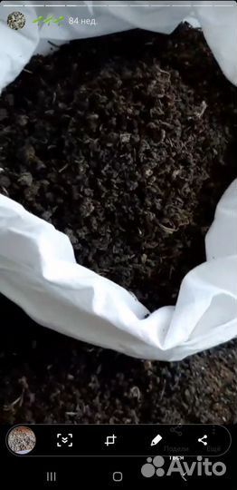 Томаты с корня. Иван-чай, мята,душица,мелисса и др