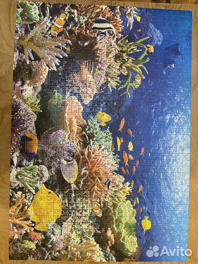 Пазлы 500 шт и 1000 шт