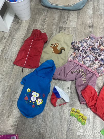 Одежда для собак L-2XL