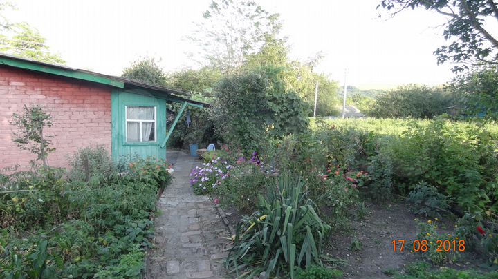 Дом 52,8 м² на участке 25 сот.