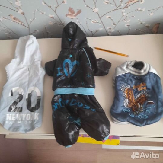 Одежда для маленьких собак