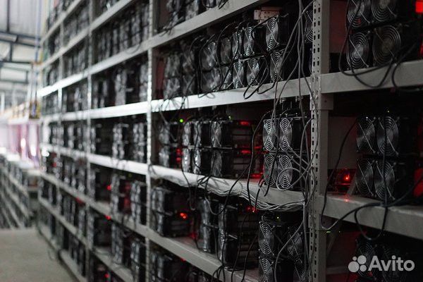 Майнинг в +, Консультация, Настройка, криптовалюта