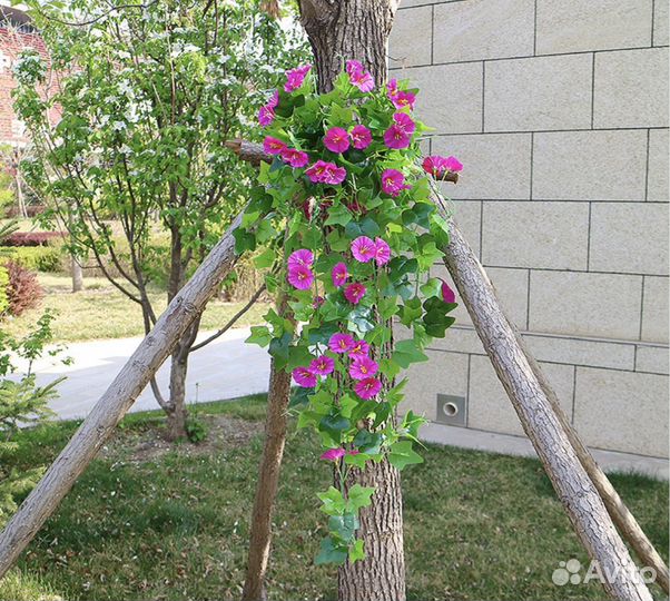 Ампельная зелень