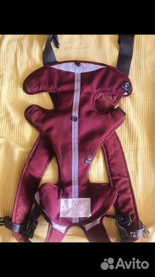 Кенгуру inglesina