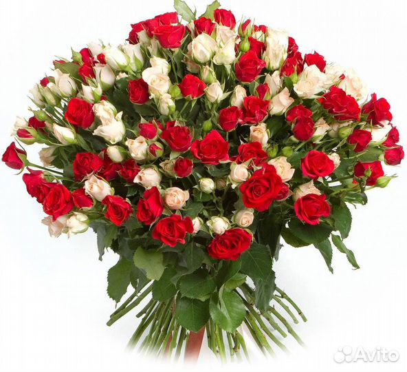 Букет 51 красная роза Цветы с Доставкой