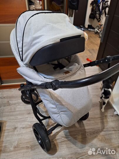 Коляска adamex Reggio 2в1
