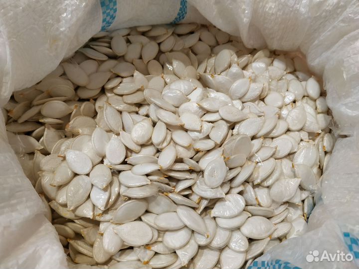 Тыквенные семечки свои, домашние