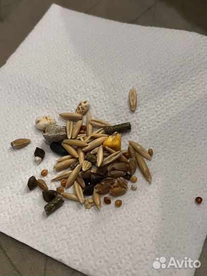 Корм для хомяков