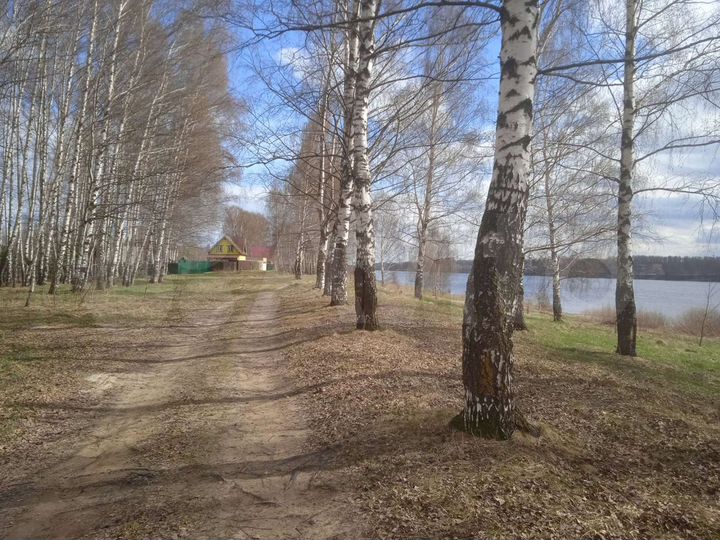 Участок 11 сот. (СНТ, ДНП)