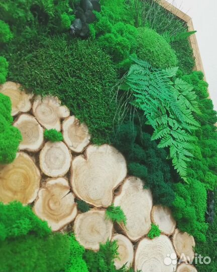 Панно, картина, декор из стабилизированного мха