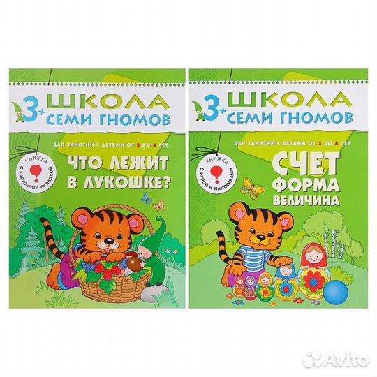 Полный годовой курс от 3 до 4 лет. 12 книг с играм