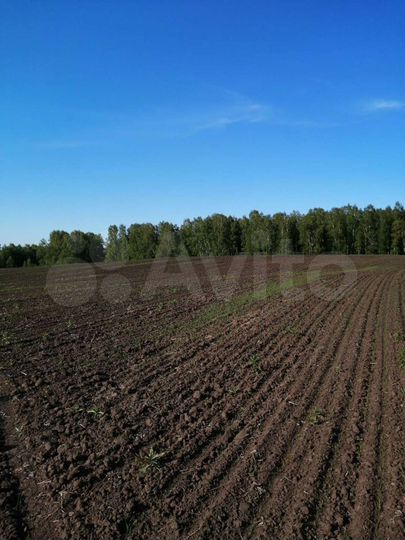 Участок 6,2 га (СНТ, ДНП)