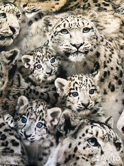 Свитшот molo 128 новый