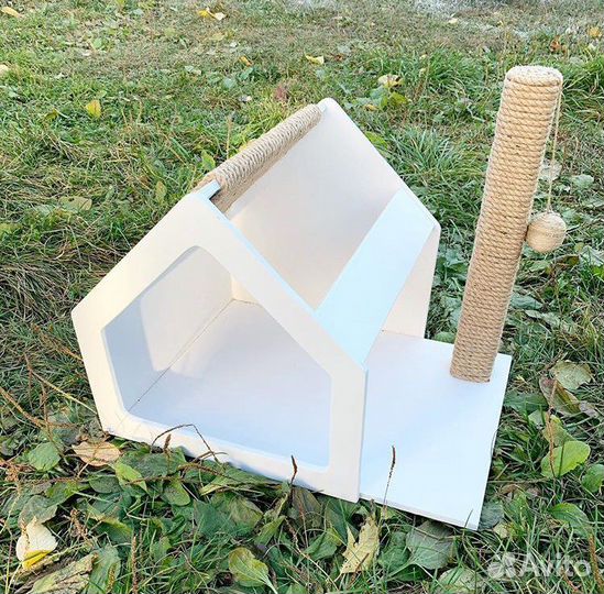 Когтеточка