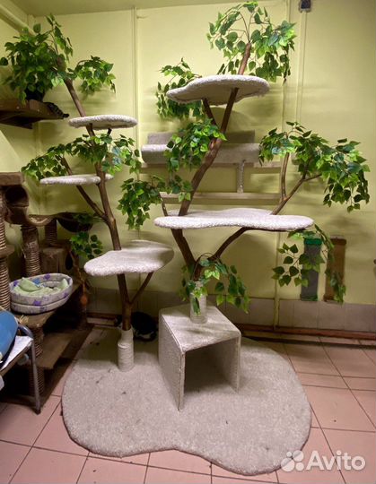 Когтеточка для кошек новая