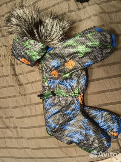 Одежда разная для собак мелких пород