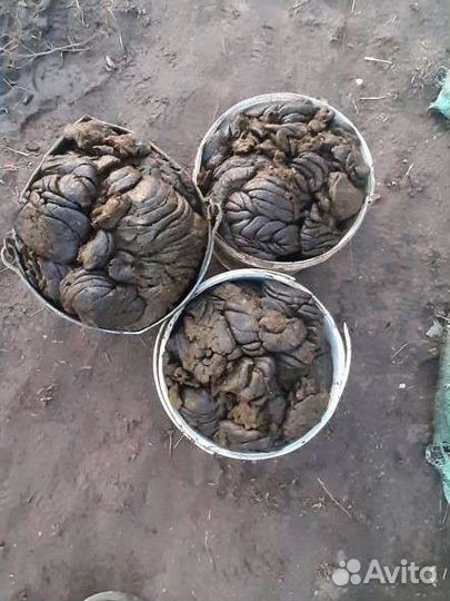 Навоз коровий и перегной