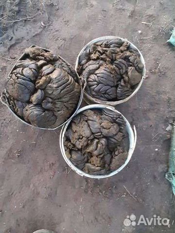 Навоз коровий и перегной