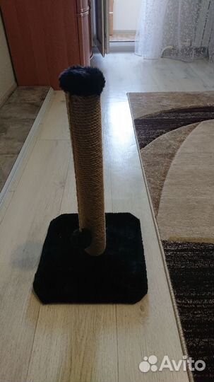 Кого-то ка для кошек