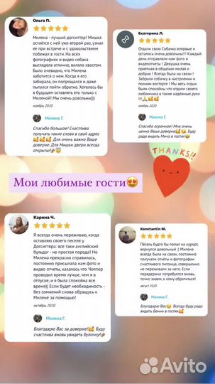 Зооняня/ситтер/выгул/передержка животных