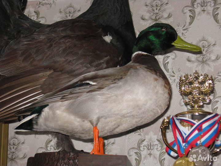 Предметы интерьера